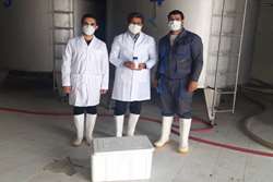  ارزیابی و پایش شیر در مراکز جمع آوری و گاوداریهای صنعتی در شهرستان تربت حیدریه 